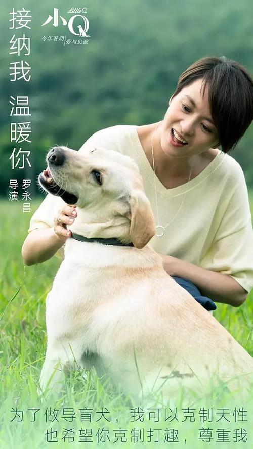 佛罗里达州结婚证怎么制作